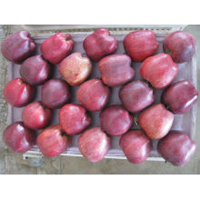 Wholesale fresh Huniu apple with good taste juicy and crisp apple fruit